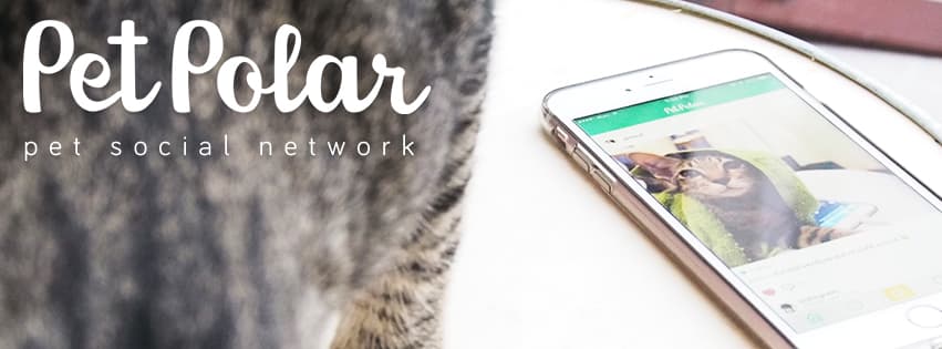 PetPolar cover