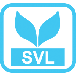 SVL Corporation