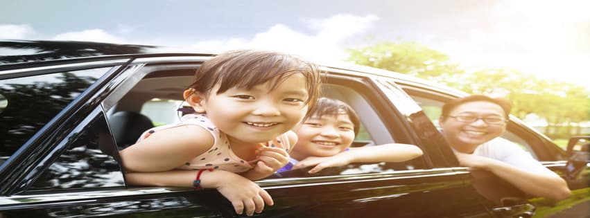 Drivemate cover