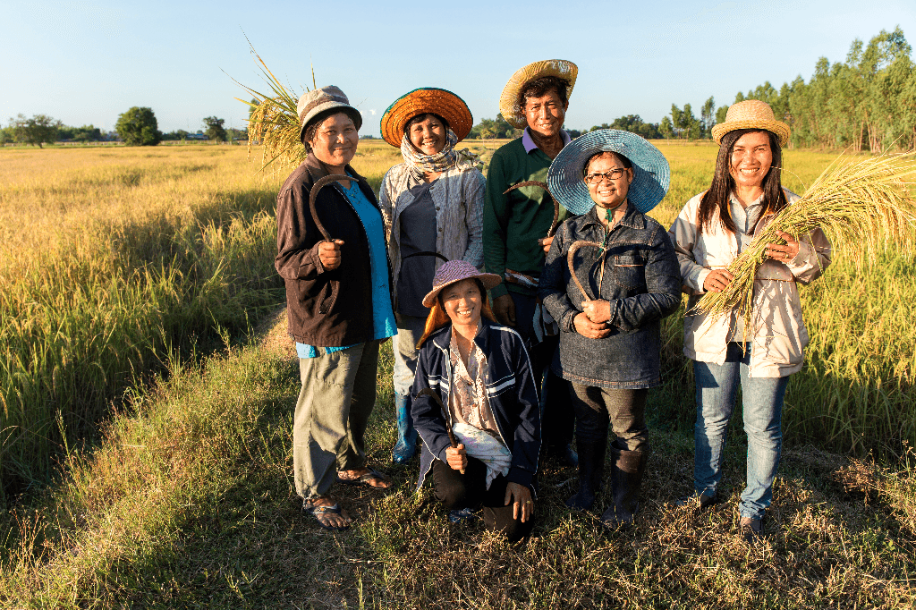 Happy Farmers cover