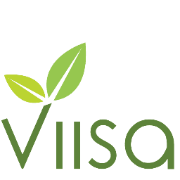 Viisa