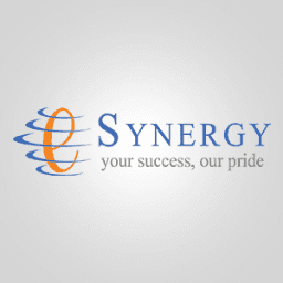 e-Synergy(Thailand)
